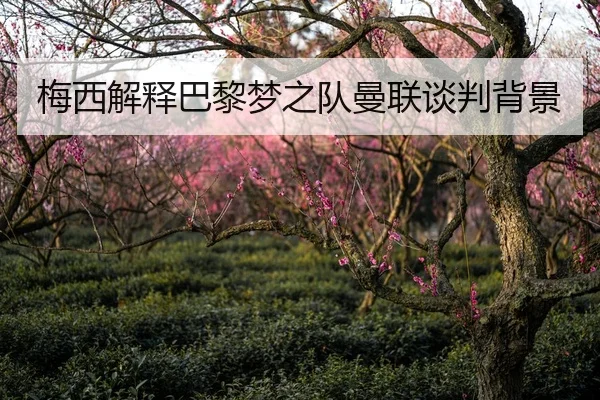 梅西解释巴黎梦之队曼联谈判背景 - 6tsports